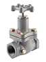 N300 Series Globe Valves